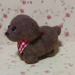 小さなミックス犬　混合毛羊毛の画像