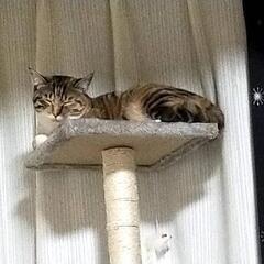 ♡甘えん坊さん♡