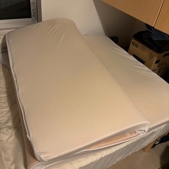 【0円】トゥルースリーパー シングルの画像