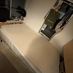 【0円】トゥルースリーパー シングル