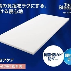 【0円】トゥルースリーパー シングルの画像