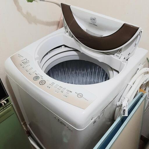 SHARP 全自動洗濯機