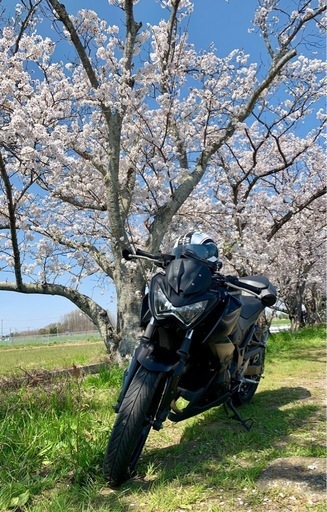 その他 KAWASAKI Z250