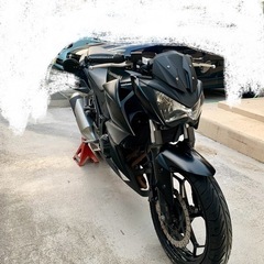 KAWASAKI Z250の画像