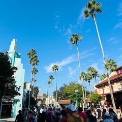 アイスランドでレンタカーをシェアしませんか？