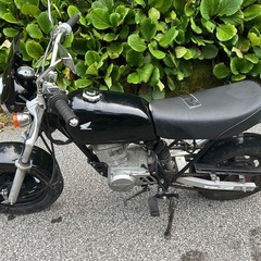 高知県　HONDA APE50 エイプ50 キャブレター車の画像
