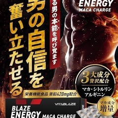 【厳選マカ&amp;エネルギーチャージ】BLAZE ENERGY マカ チャージ 30日分 亜鉛 シトルリン アルギニン トンカットアリ 高麗人参 牡蠣エキス VITA BLAZE ビタブレイズ ブレイズエナジーの画像