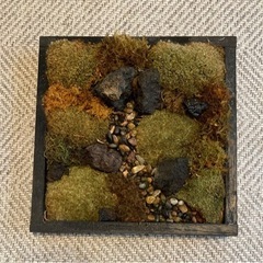 苔　moss アート　ウォールの画像