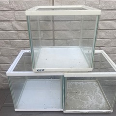 決まりました。GEX 水槽　３つセットで　メダカ　金魚に