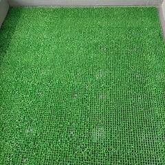 人工芝の画像