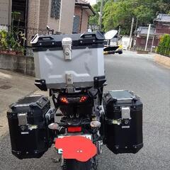 フルパニアМT09トレーサーの画像