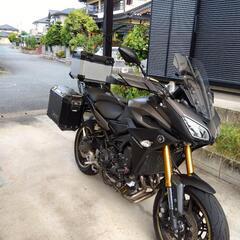 フルパニアМT09トレーサーの画像