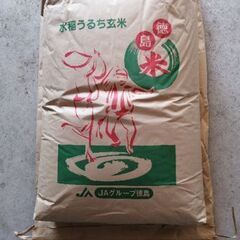 令和6年産 徳島県産あきさかり 30kg 秋の盛りに収穫しま