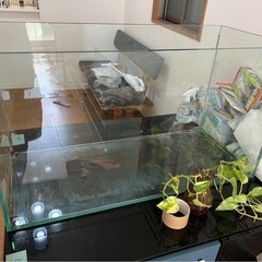 【引き渡し者さま決定済】大阪市 90cm水槽 無料の画像