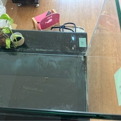 【引き渡し者さま決定済】大阪市 90cm水槽 無料の画像