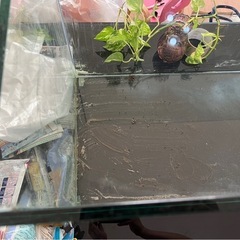 【引き渡し者さま決定済】大阪市 90cm水槽 無料の画像