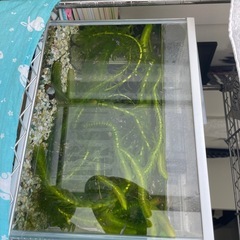 水槽　