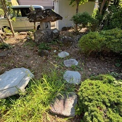 植栽、庭石差し上げますの画像