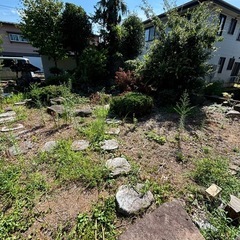 植栽、庭石差し上げますの画像