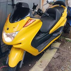 マジェスティ250の画像