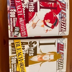 BLEACH 小説 2冊