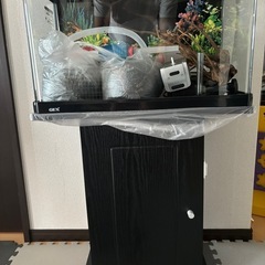 【今月末まで限定】60サイズ　GEX　熱帯魚水槽　水槽用専用台セット 