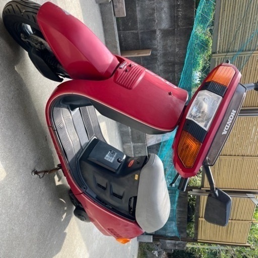 初期リード AF01