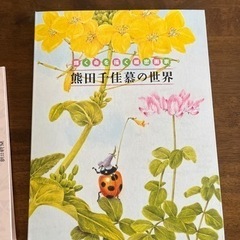熊田千佳慕　朝日新聞の非売品１２枚入りとミュウシャファイルと１枚