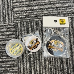 阪神優勝記念キーホルダー、メダル、缶バッジ