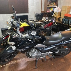 GSR２５０　早い者勝ち！！の画像