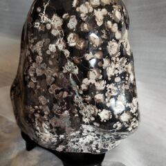 　鑑賞石　新潟牡丹石　即決にて　送料込み