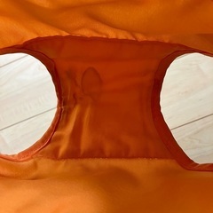 フィッシャープライス　ジャンパルーの画像