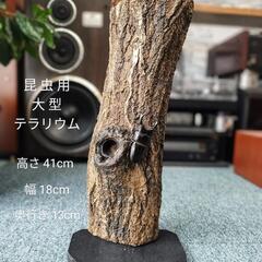 昆虫用 大型テラリウム  