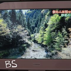 液晶テレビ20型の画像