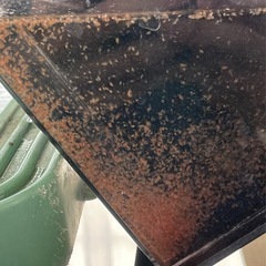 生き餌【オオミジンコ】060825の画像