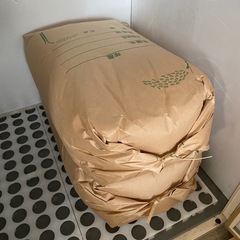 お米　令和5年産コシヒカリ　ラスト30kg