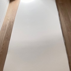 トゥルースリーパー
