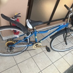 ジュニア用自転車