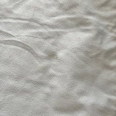 マスターボールラグの画像