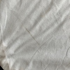 マスターボールラグの画像