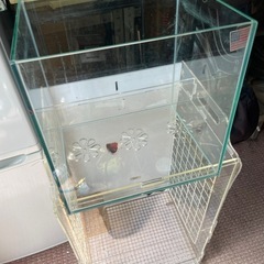 水槽