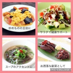 ①【採れたて】生キクラゲ 300g 菌床栽培の画像