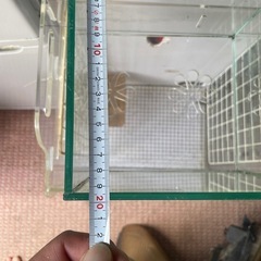 金魚水槽の画像
