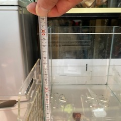 金魚水槽の画像
