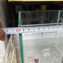 金魚水槽の画像