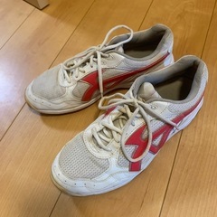 体育館シューズ
