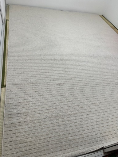 ニトリ　カーペット　261×352