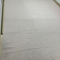 ニトリ　カーペット　261×352 の画像