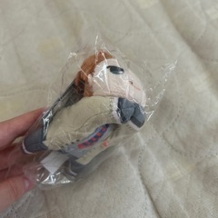 【決定】ロディ・ソウル　キーホルダーの画像