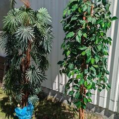 観用観葉植物（偽物）２本セット